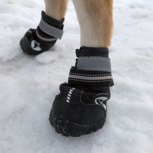 Scarpe trekking cane online