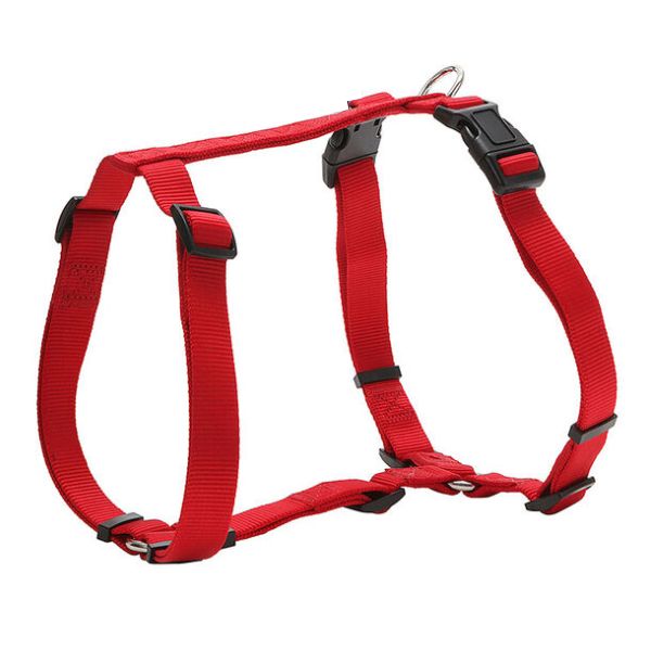 Pettorina ad H Doppia regolazione in nylon PetUp - rosso - Taglia 3: torace 52 cm x 1,8h cm