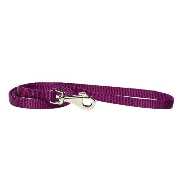 Image of Guinzaglio in nylon Classic PetUp - viola - lunghezza 1 metro x fettuccia 1,2 cm - SPEDIZIONE GRATIS 1° ORDINE + scegli lo sconto BZR5 / BZR20010