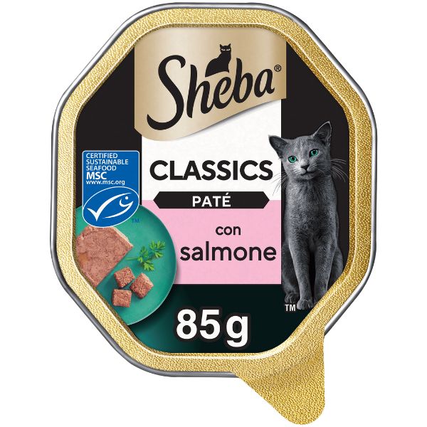 Sheba Patè classics 85gr - con Salmone Confezione da 22 pezzi