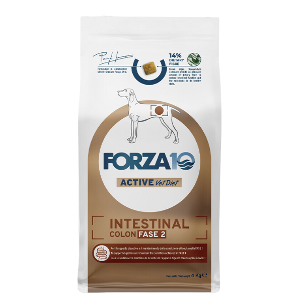 Image of Forza10 Active Cane Intestinal Colon Fase 2 - 4 kg - Croccantini per cani - SPEDIZIONE GRATIS 1° ORDINE + scegli lo sconto BZR5 / BZR20010