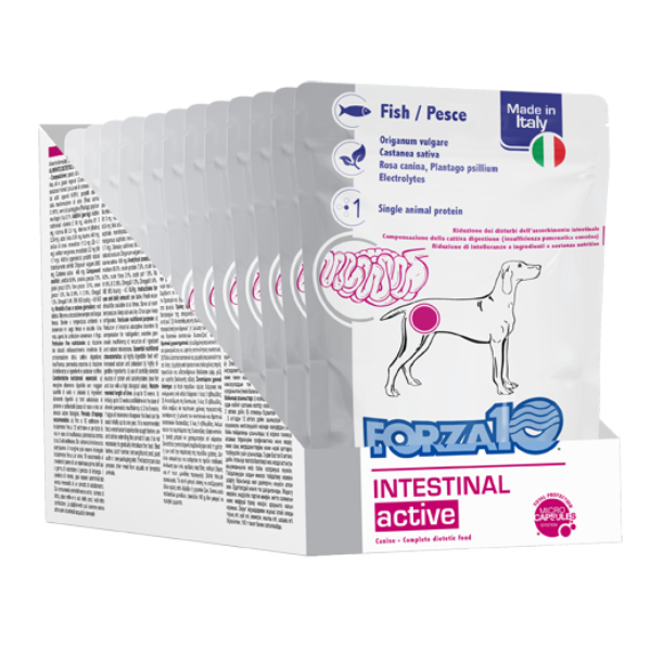 Forza10 Intestinal Active Cane al Pesce - 100 gr Confezione da 12 pezzi