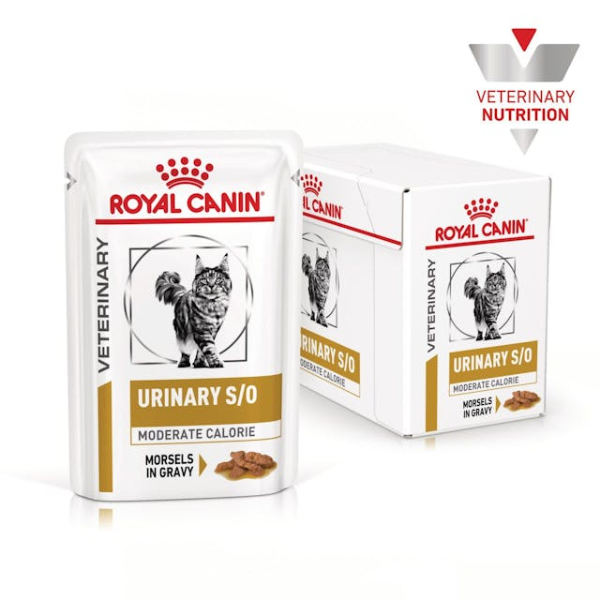 Image of Royal Canin Urinary S/O Moderate Calorie - 12 buste da 85 gr - Dieta Veterinaria per Gatti - SPEDIZIONE GRATIS 1° ORDINE + scegli lo sconto BZR5 / BZR20010