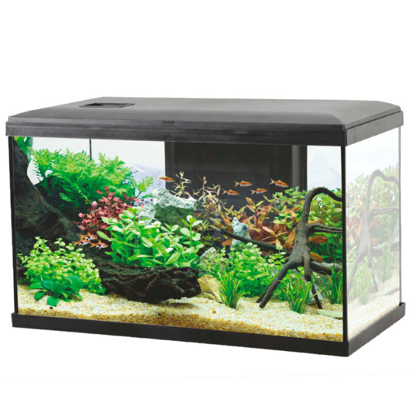 Acquario Ocean modello 60 Aqualovers - nero - capacità 57 litri