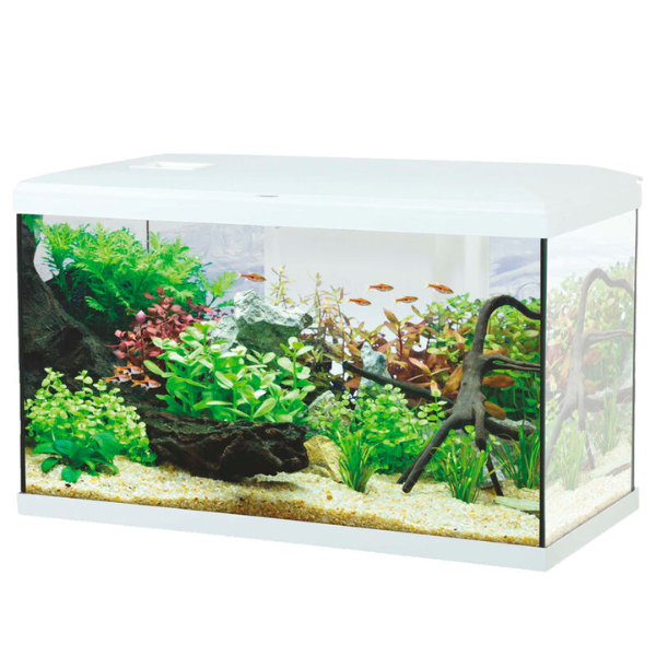 Acquario Ocean modello 60 Aqualovers - bianco - capacità 57 litri