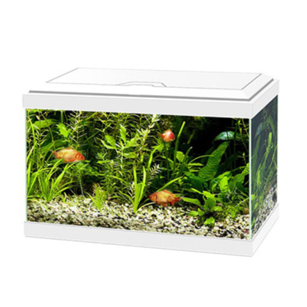 Acquario Ciano Aqua Light 20 Askoll - Bianco - 40 x 20 x 31,3