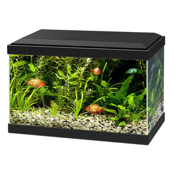 Acquario Ciano Aqua Light 20 Askoll - Nero - 40 x 20 x 31,3