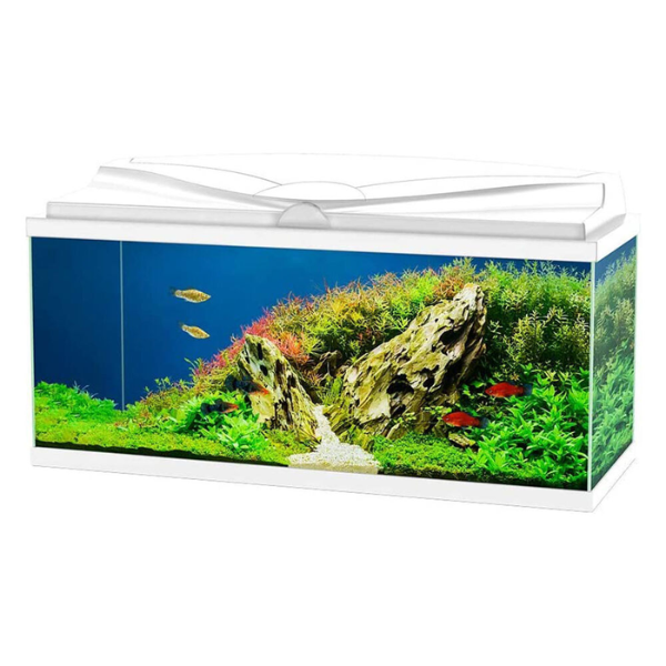 Image of Aquario Aqua 80 Led Askoll - Bianco - 80 x 30 x 41,5 - SPEDIZIONE GRATIS 1° ORDINE + scegli lo sconto BZR5 / BZR20010