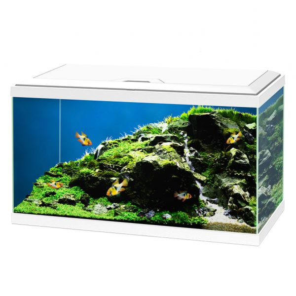 Aquario Ciano Aqua 60 Led Askoll - Bianco - 60 x 30 x 32