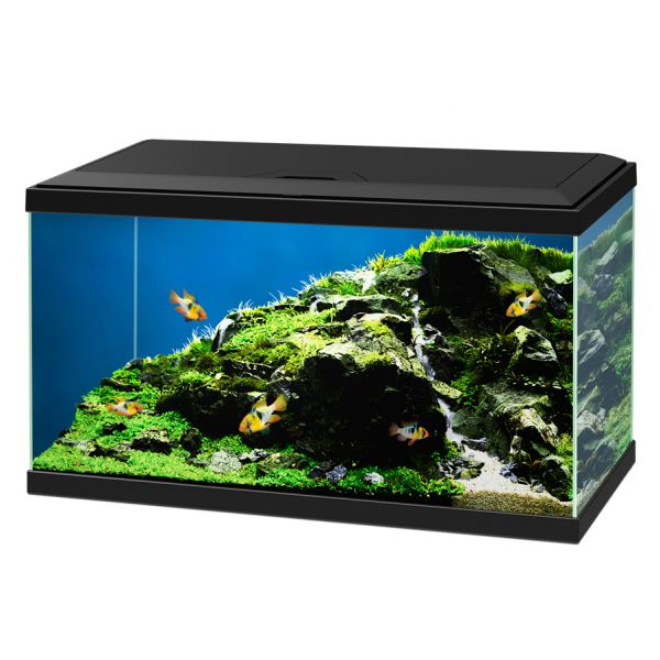 Aquario Ciano Aqua 60 Led Askoll - Nero - 60 x 30 x 32