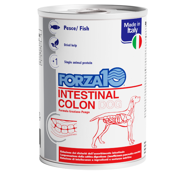 Image of Forza10 Actiwet Cane Intestinal Colon 390 gr - Salmone e sgombro - SPEDIZIONE GRATIS 1° ORDINE + scegli lo sconto BZR5 / BZR20010