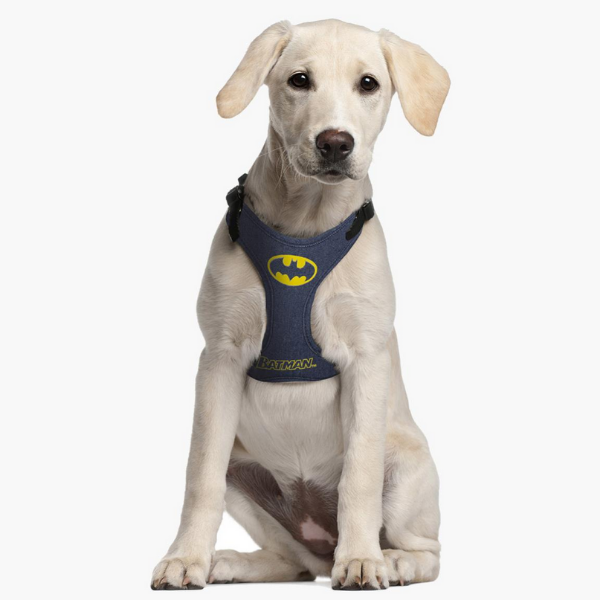 Pettorina Comics Batman For Fan Pets