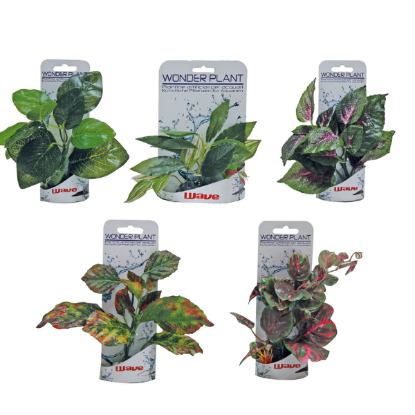 Piante finte decorative Wonder Amtra - 0,15-0,18 m - Plant serie B