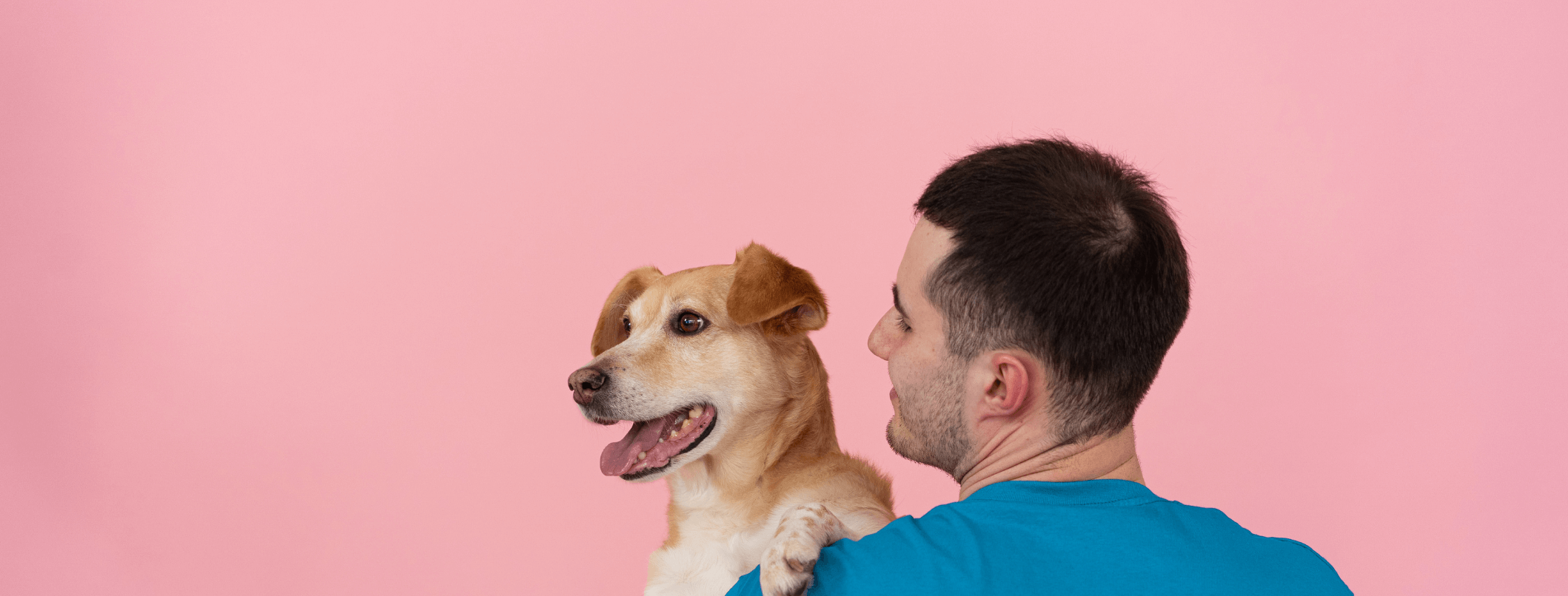 in quali fasi della vita del cane è meglio adottare