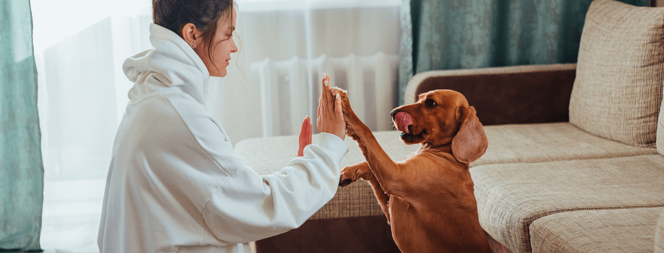 Giochi intelligenti per cani